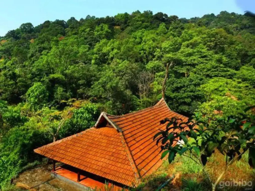 Rain Country Resort