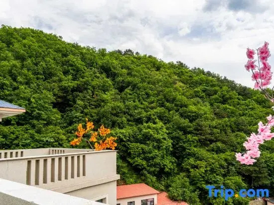 Lanshan Scenic Mountain Boutique Stay (Tianjin Jizhou Jiushan Peak)
