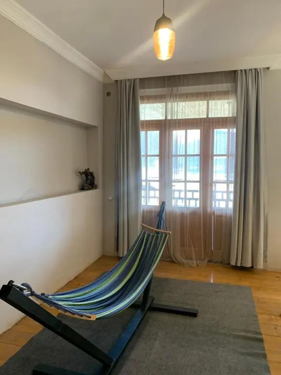 Panorama ananuri guest house