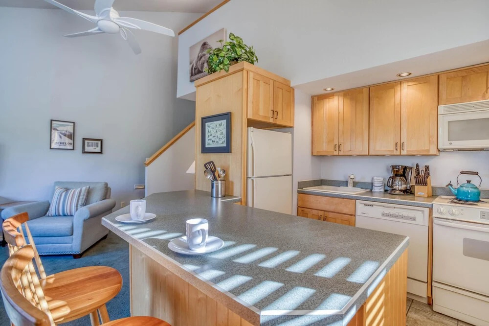 Ski House 217