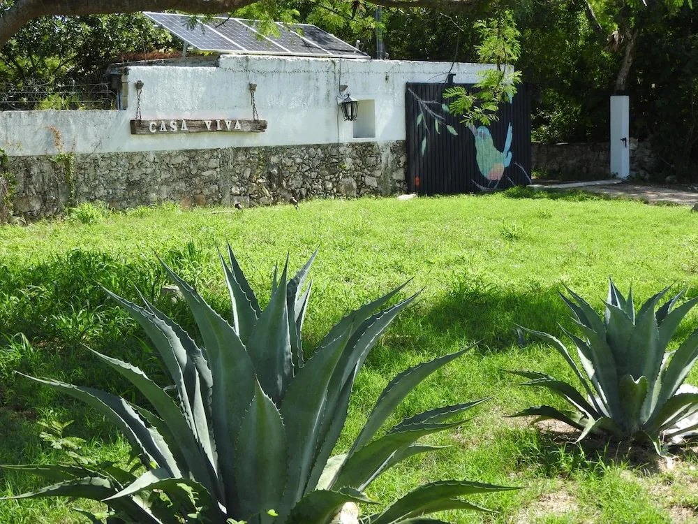 Casa Viva Mérida