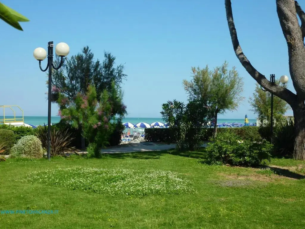 Ficus Pineto Vacanza