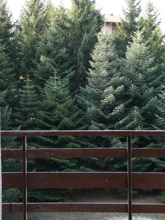 Il Balcone Delle Alpi