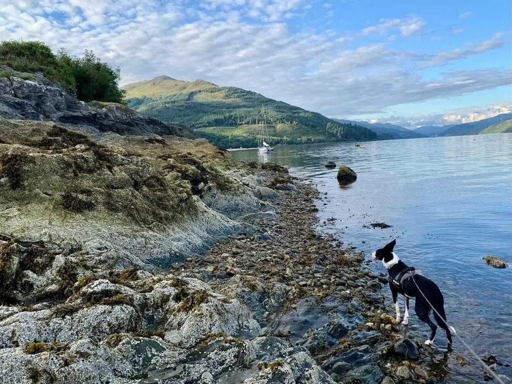 Cottage in Kilmun, Argyll - 2 Bedrooms, Sleeps 2