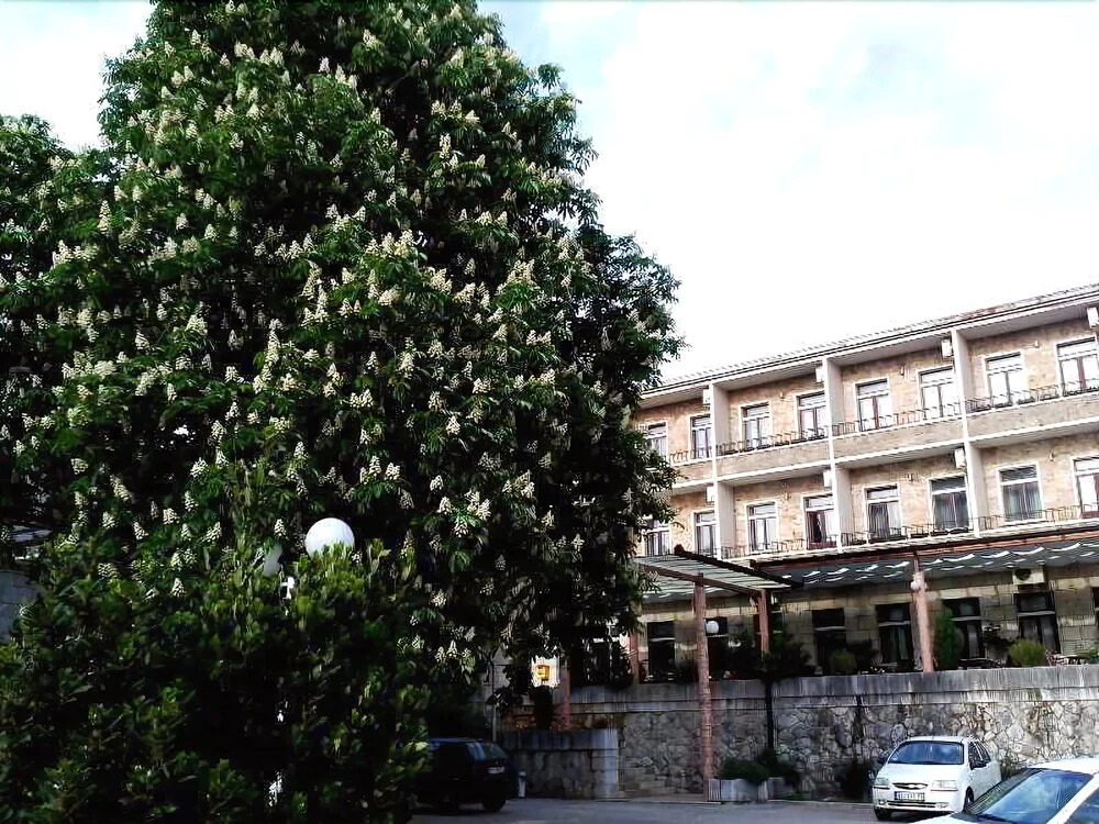 Hotel Leotar