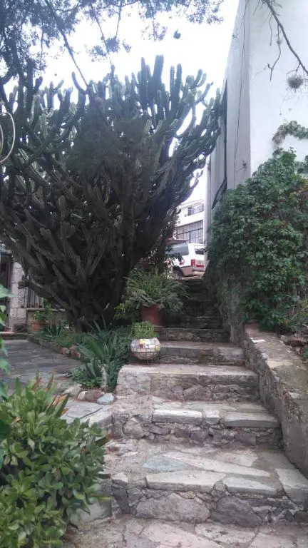Arquitectos Departamento 12-1