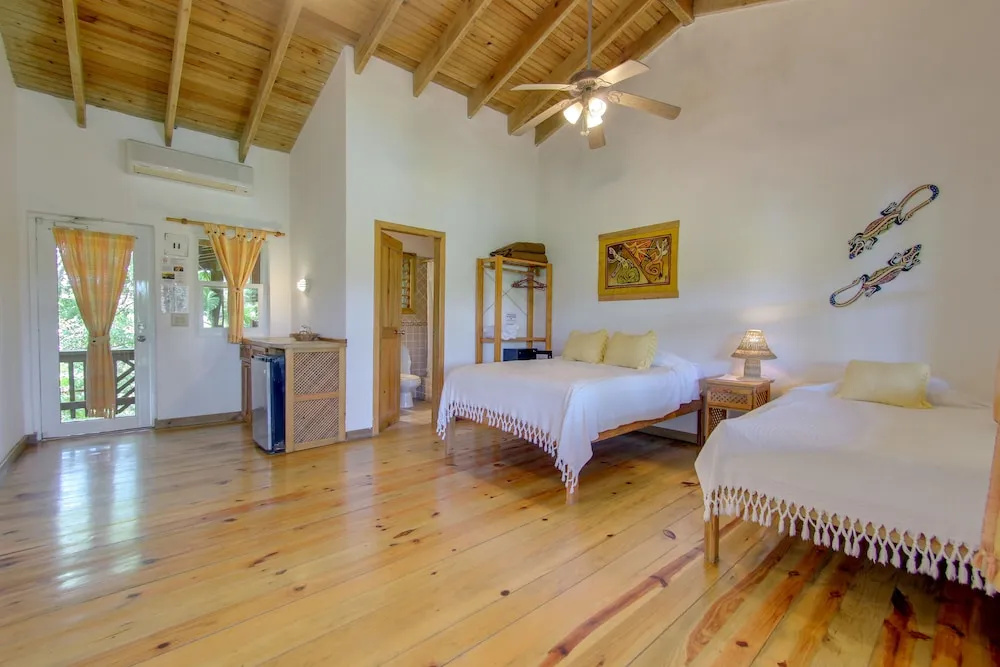 Hotel Posada Las Orquídeas,West End