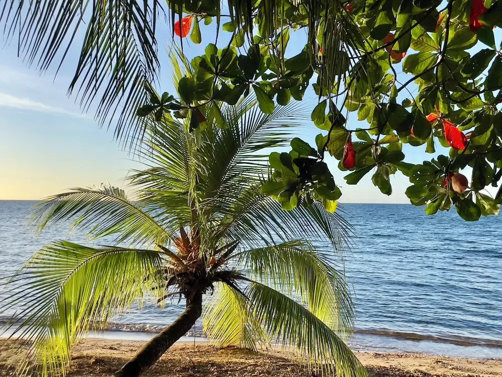 Roatan Infinity Pool and Ocean View Apartment