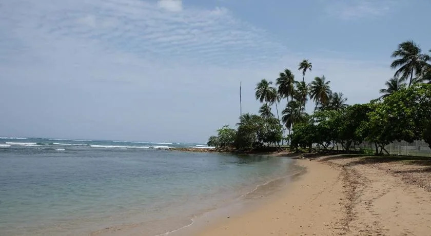 Paradigm Villa Dorado