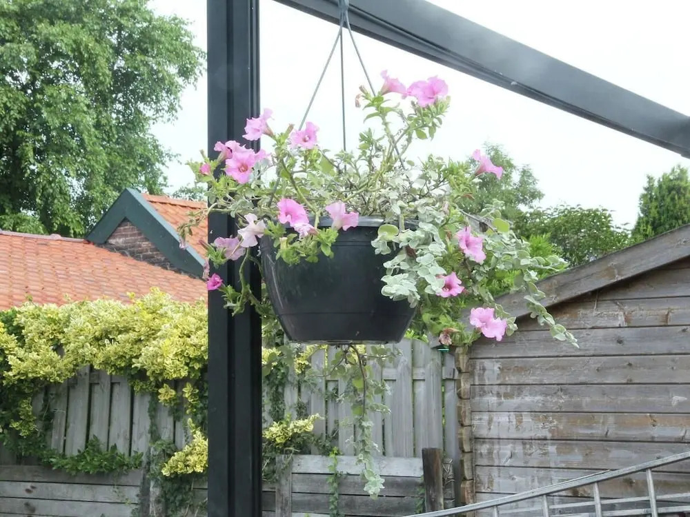 Thuis In Heiloo