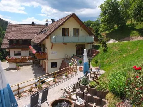Paradies Im Schwarzwald