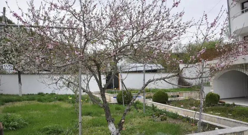Villa Vladi Balchik