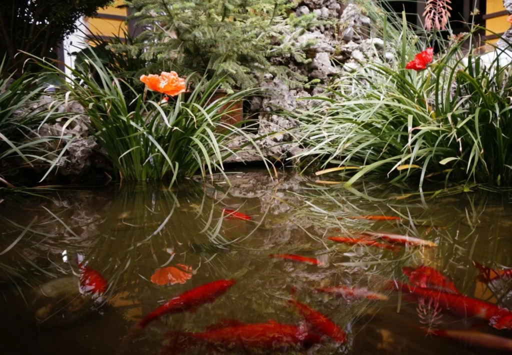 Lijiang Wangjia Courtyard Inn