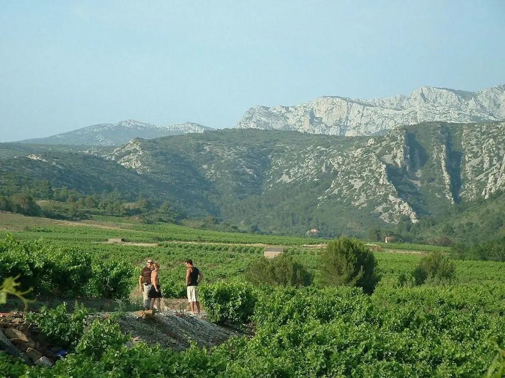 Domaine Vents Du Sud