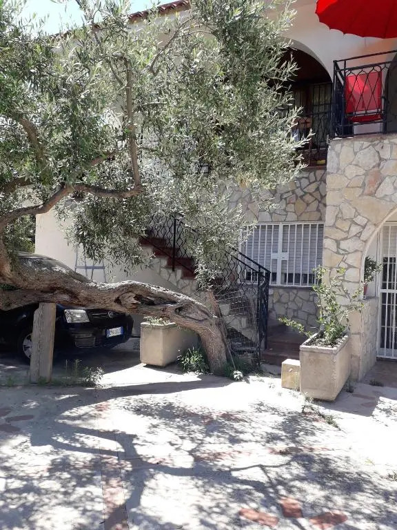 casa mia