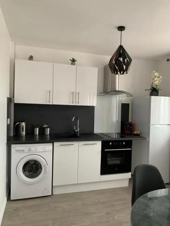 APPARTEMENT COEUR de ROANNE