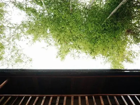 West Time Hot Spring Hostel