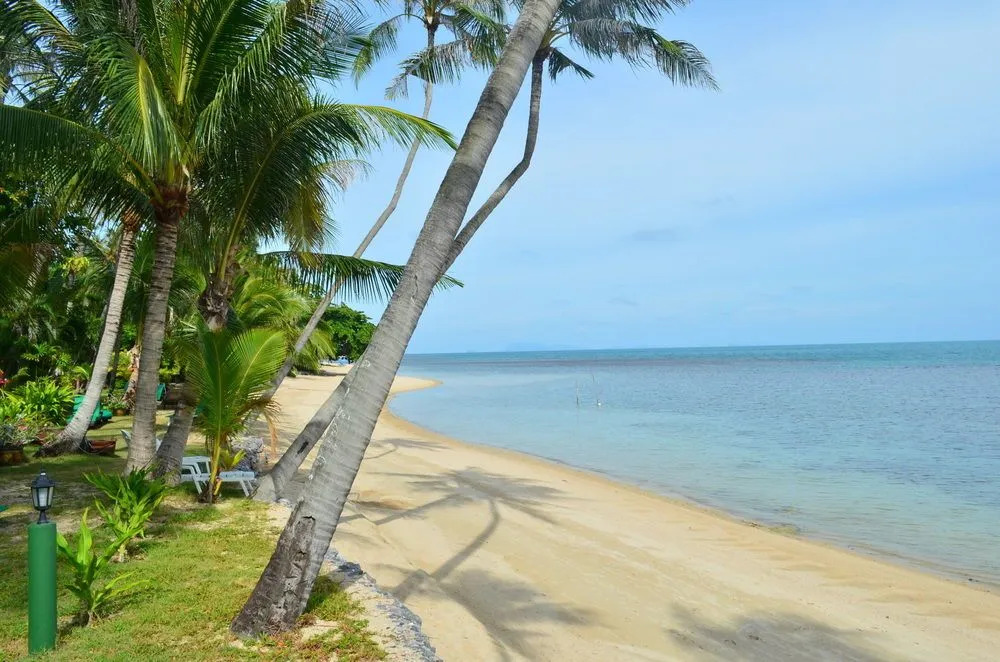 Green Coconut Village A4