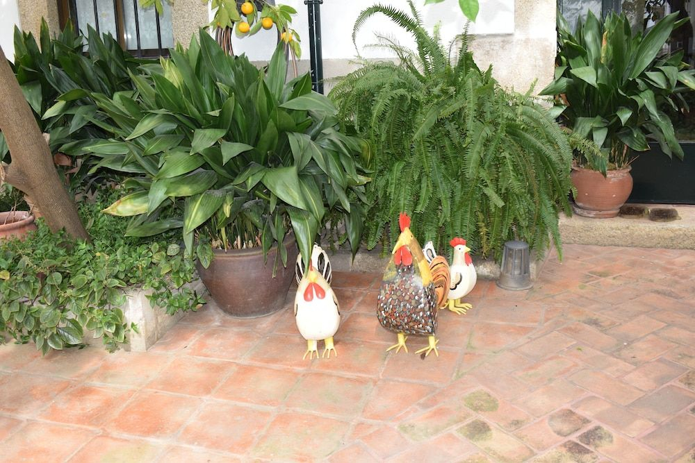 Casa Rural Antolina
