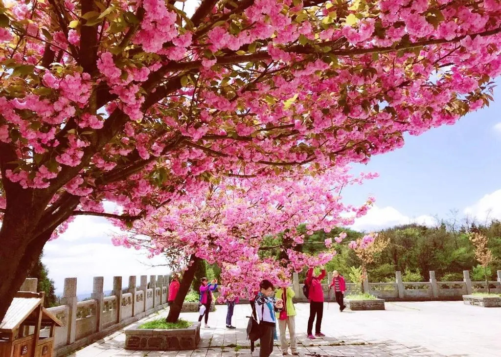 ROY Sean Castle Resort Inn-Zhangjiajie Tianmenshan Cableway Branch