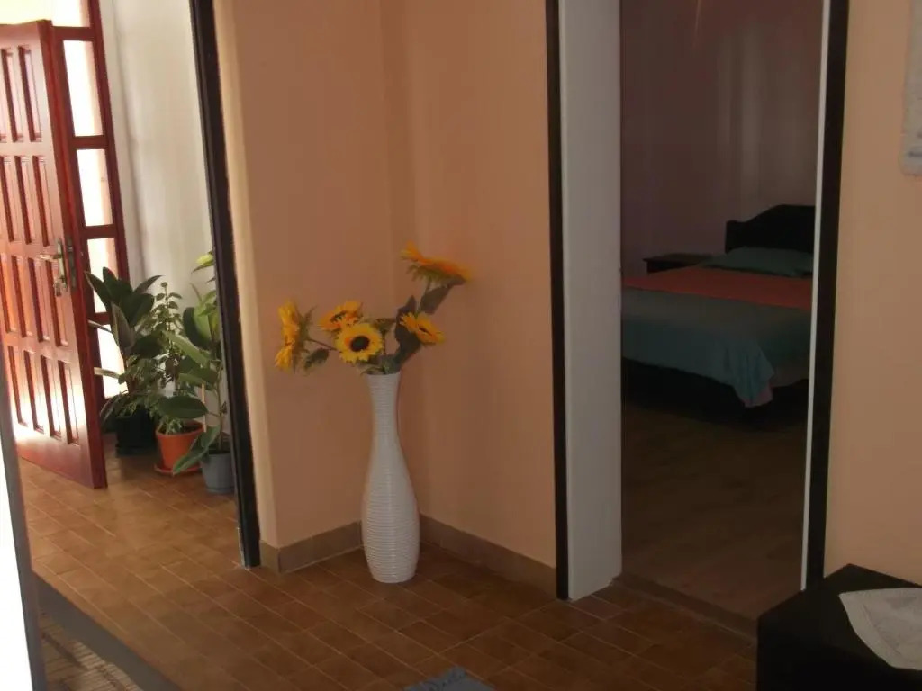 Apartments Olga