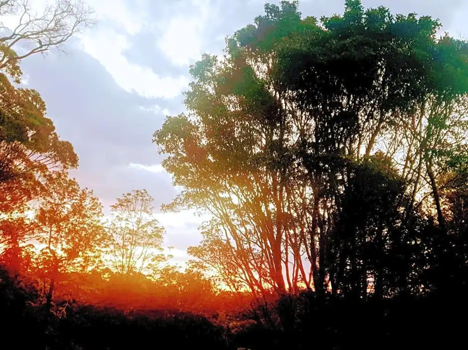 A Haven in Maleny