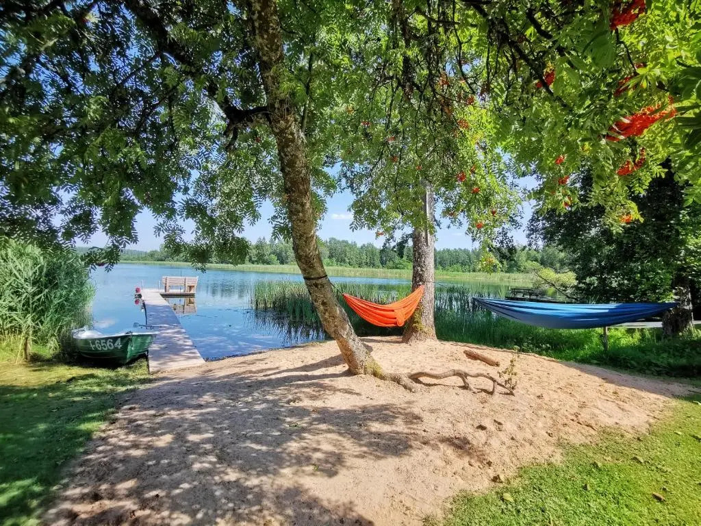 Trainiškio pirkia