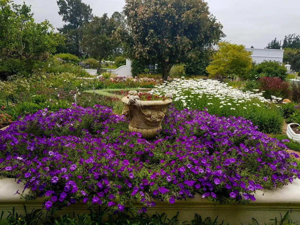 Greenhill Farm Cape Dutch Cottage Plettenberg Bay - 1 Bedroom Private Cottage
