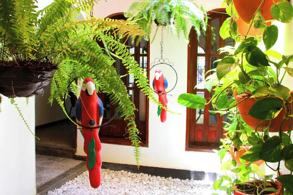 La Guaca Hostel Santa Marta
