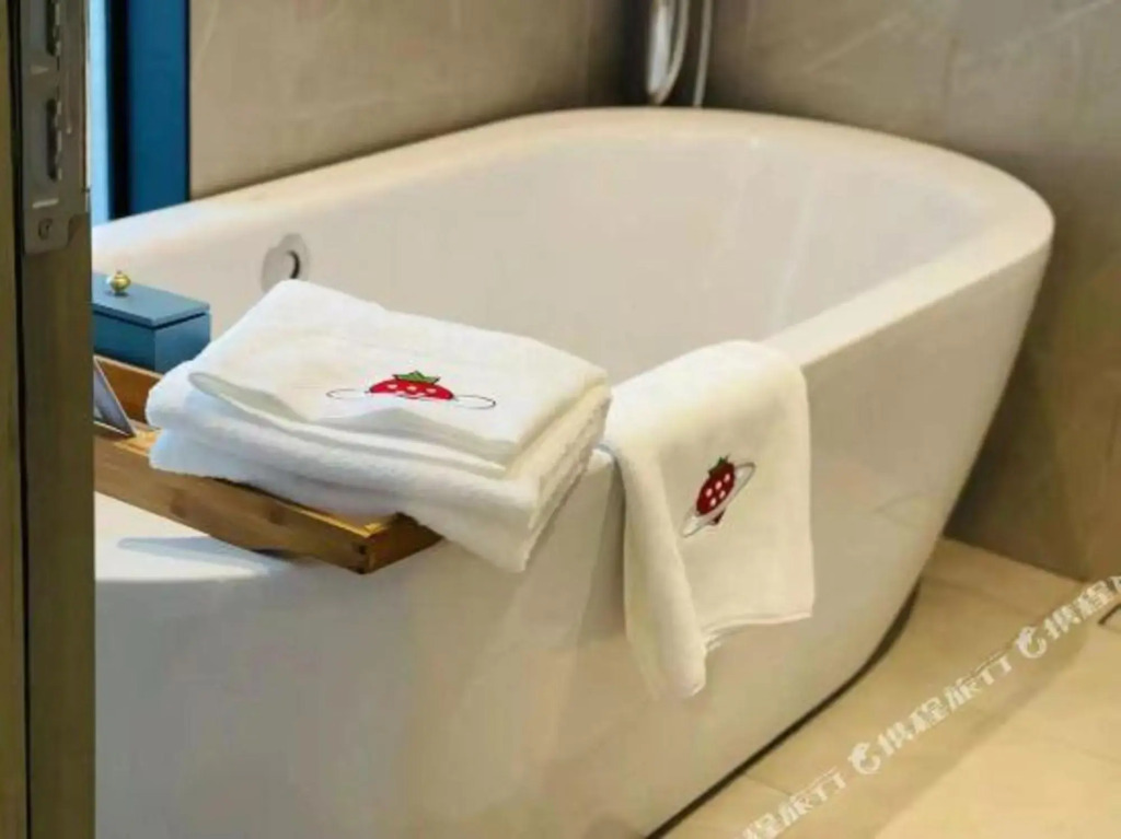 Zenos Hotels By Suning Shanghai International Tourism & Resorts Zone