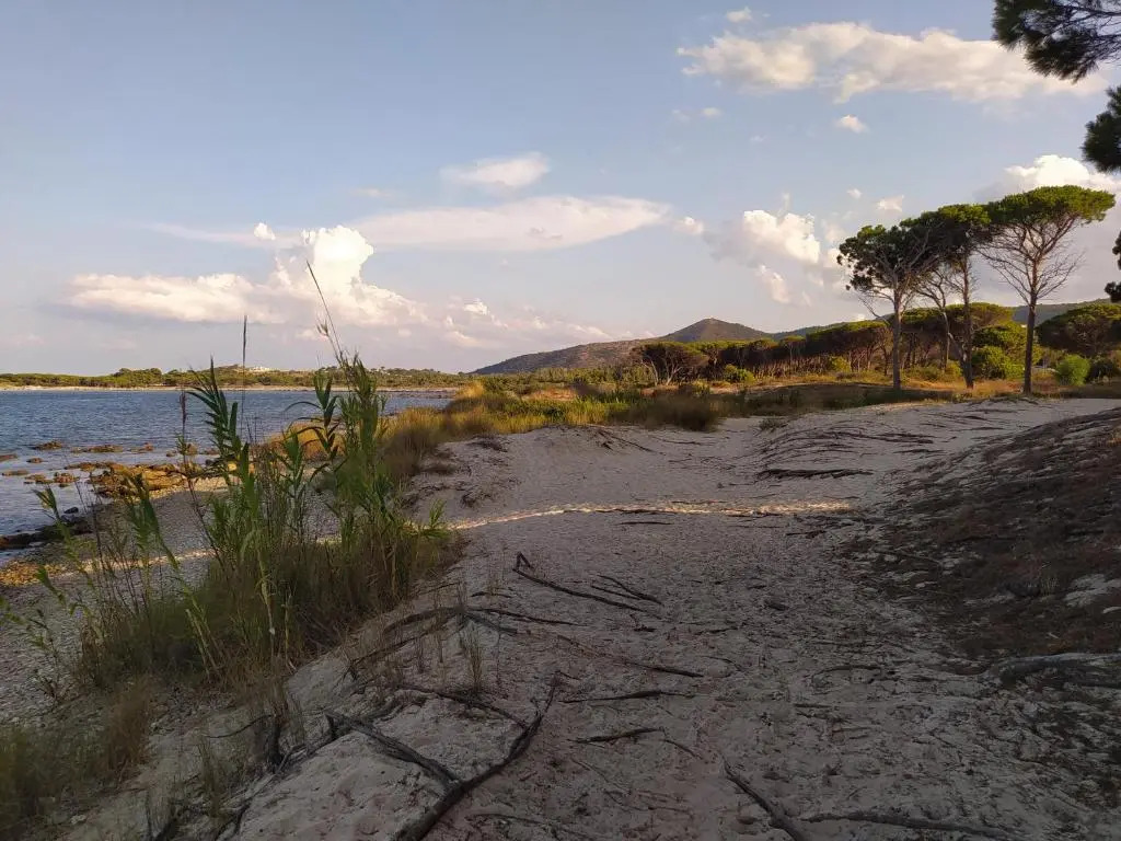 Casa vacanze Wally a Posada, Sardegna