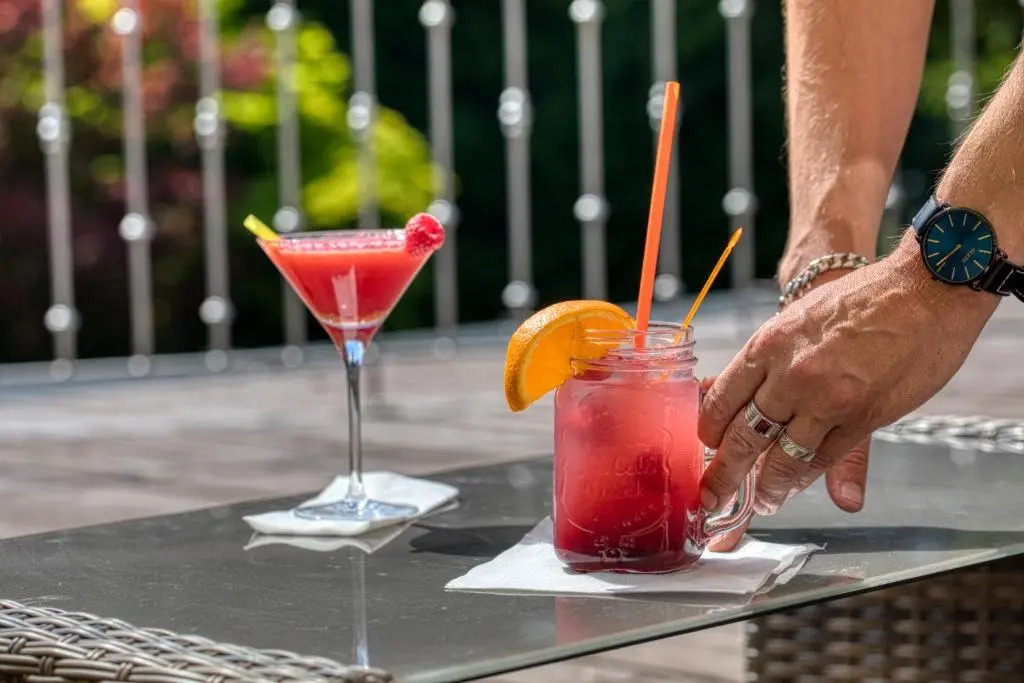 Wellness & Spa hotel Villa Regenhart