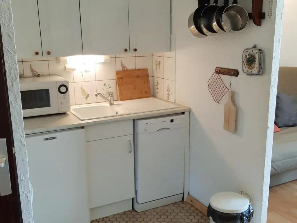 Appartement Les Deux Alpes, 1 pièce, 4 personnes - FR-1-516-51