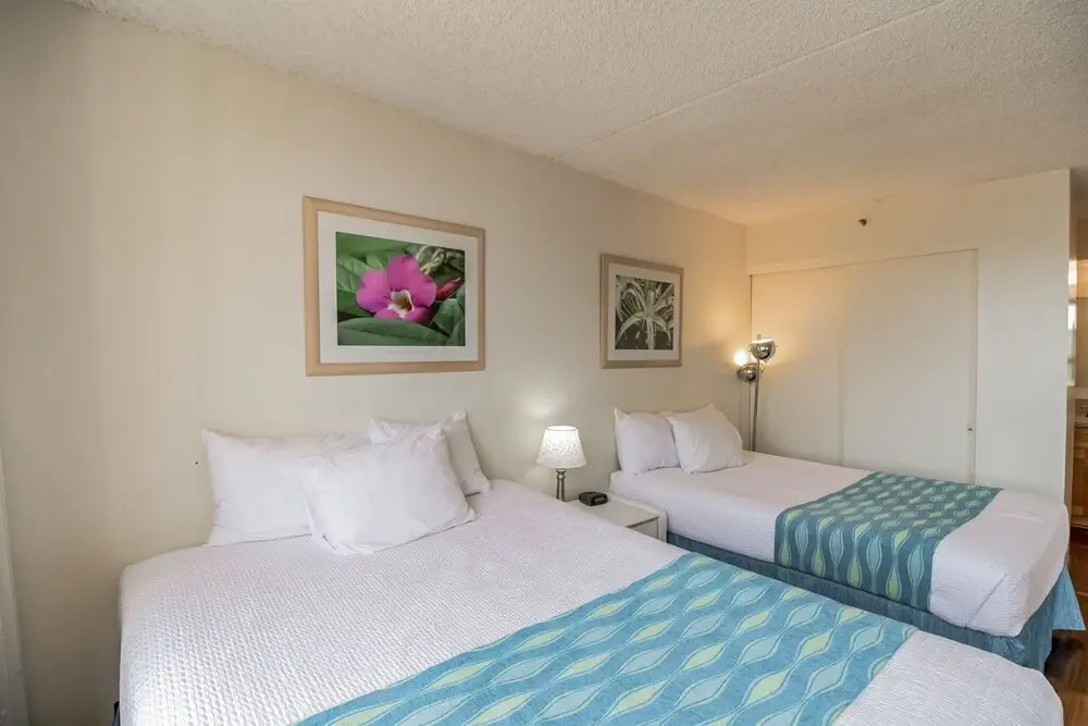 Deluxe Ocean and Diamond Head View Waikiki Condo, Free parking!