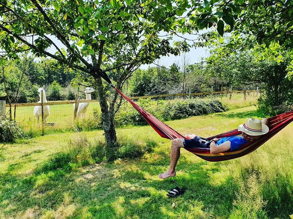 Loire Valley Llama Farm Stay