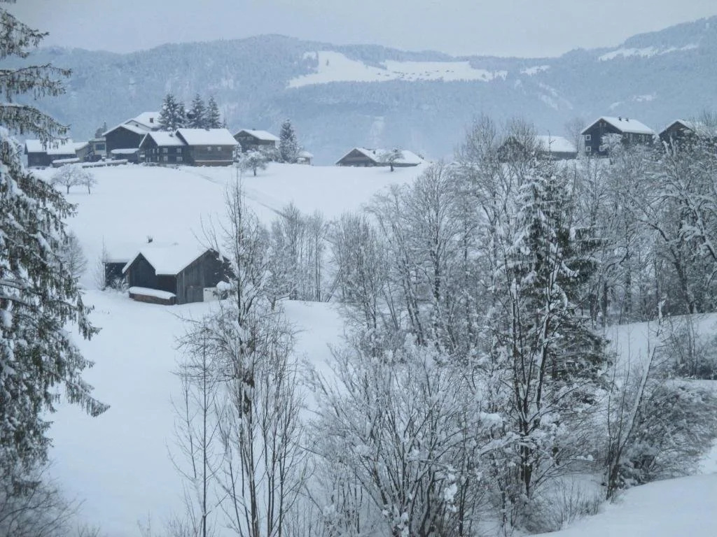 Haus Schneider
