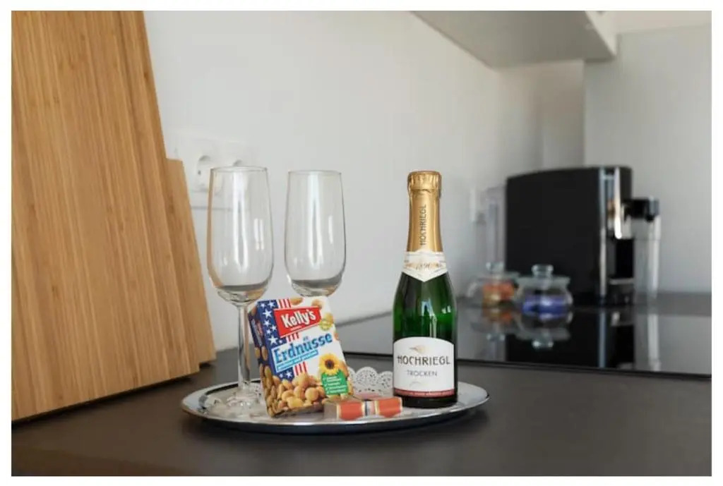 N45 · Penthouse near Schoenbrunn. Amazing Terrasse! N45