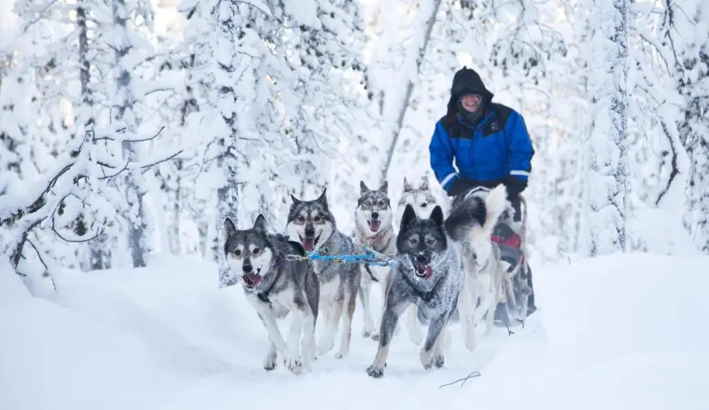 Wilderness Hotel Inari & Igloos