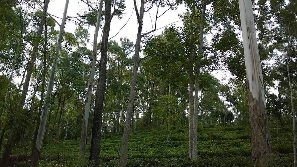 Yathra Mount Inn
