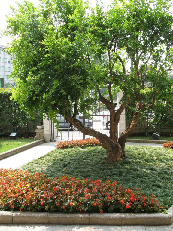Residence Le Corti