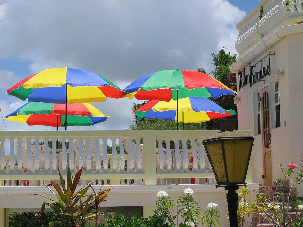 Palm Paradise Guest House and 2 Apartments