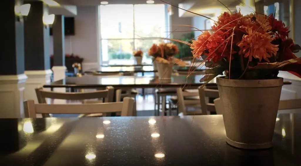 Rodeway Inn & Suites Williamsburg Central