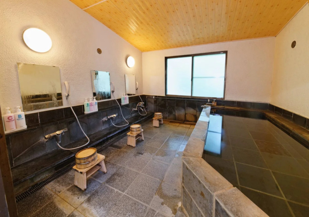 Ashinoko Ichinoyu Hotel