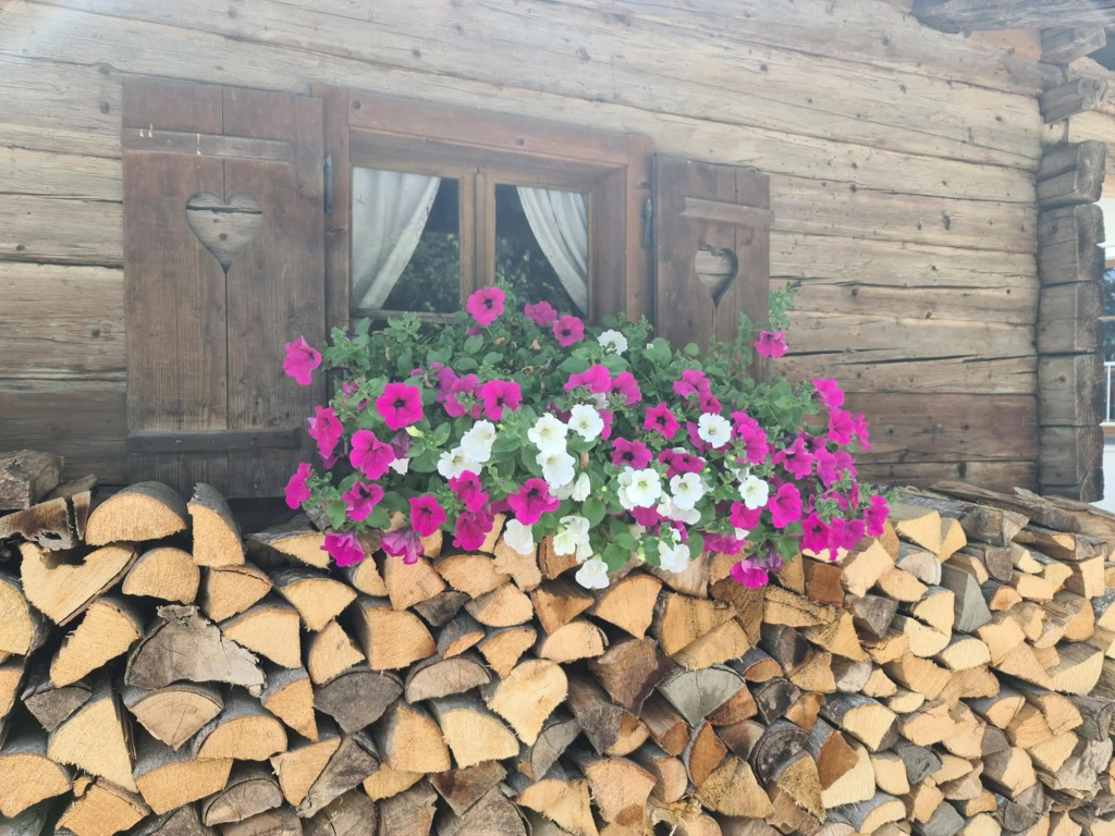 Hotel Alpenhof***