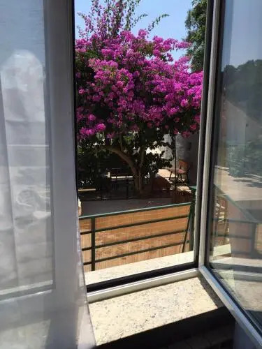 Bed And Breakfast 3 Stars Moneglia