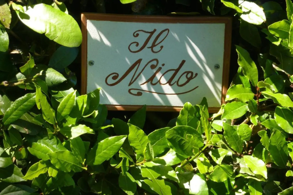 Il Nido
