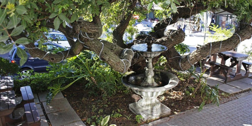 Dixon House in De Waterkant by Cape Finest