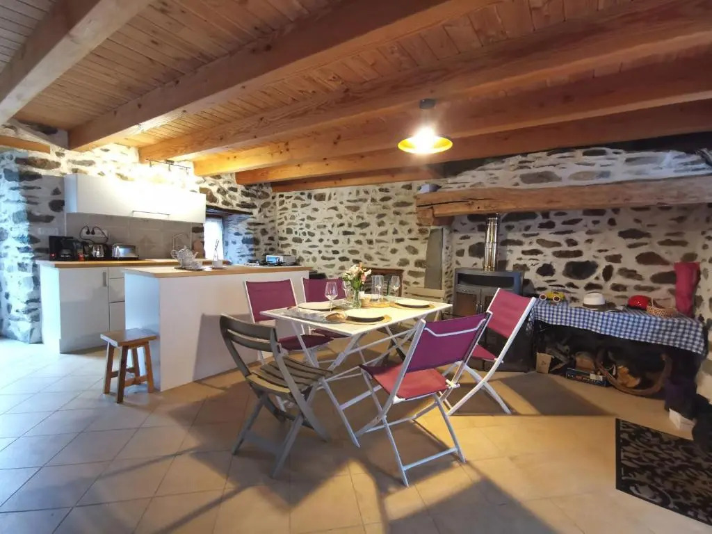 Charmante maison dans les gorges de la Loire avec terrasses et poêle à bois - FR-1-582-319