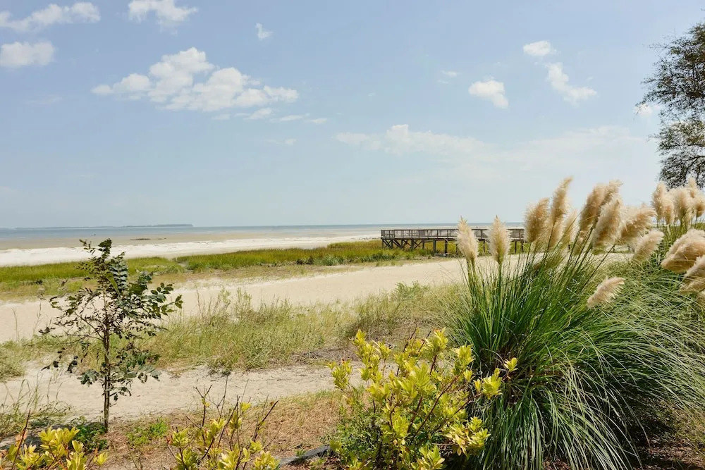Treetop - 1br/1ba Well Appointed & Sleeps 4 1 Bedroom Condo