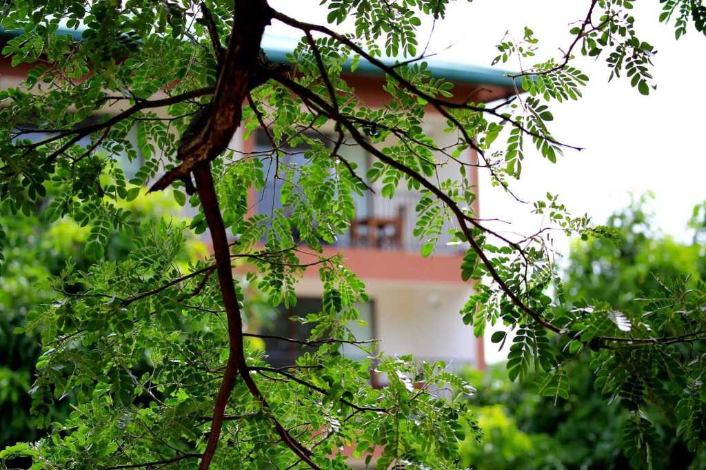 Grand & Gangula